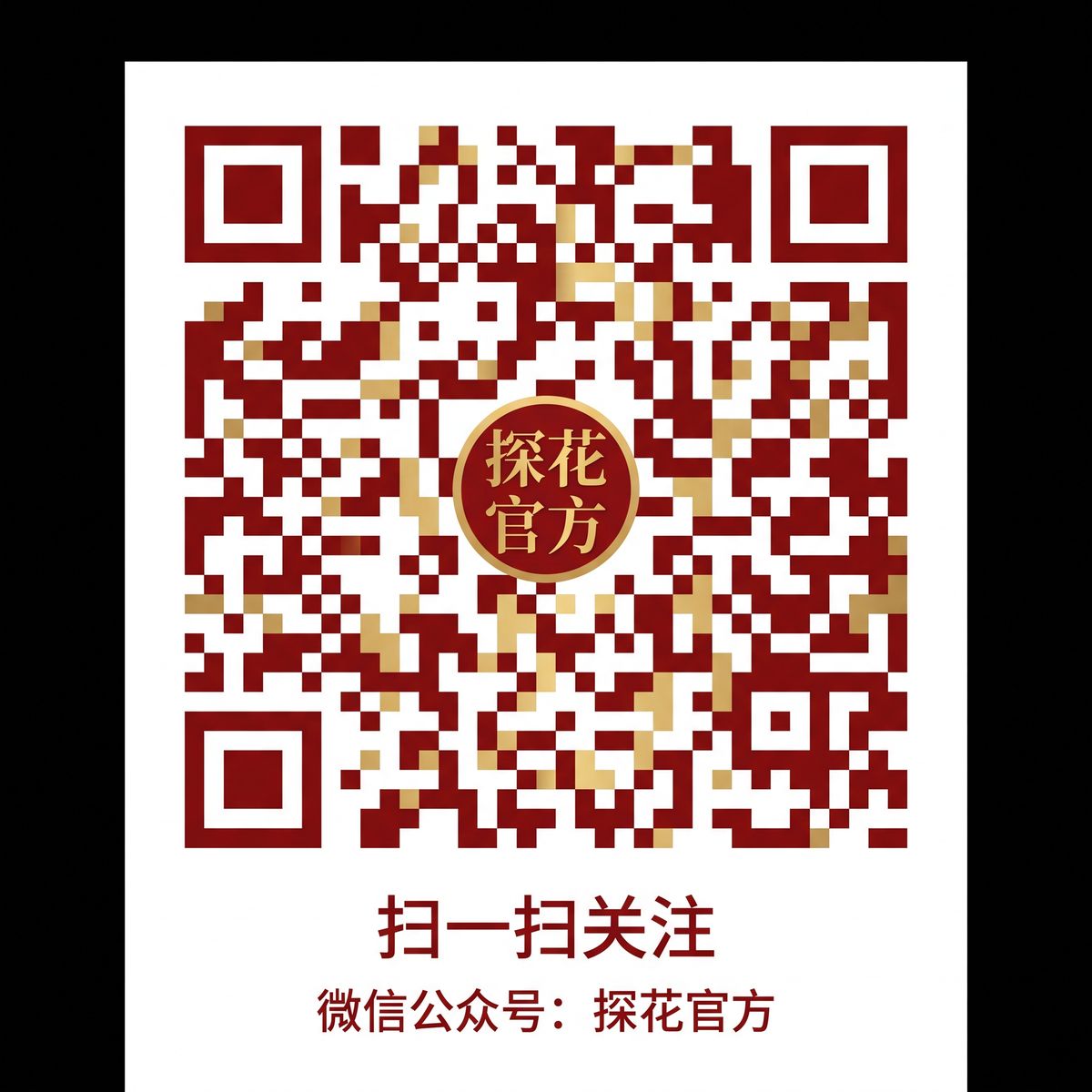 麻豆视频公众号二维码